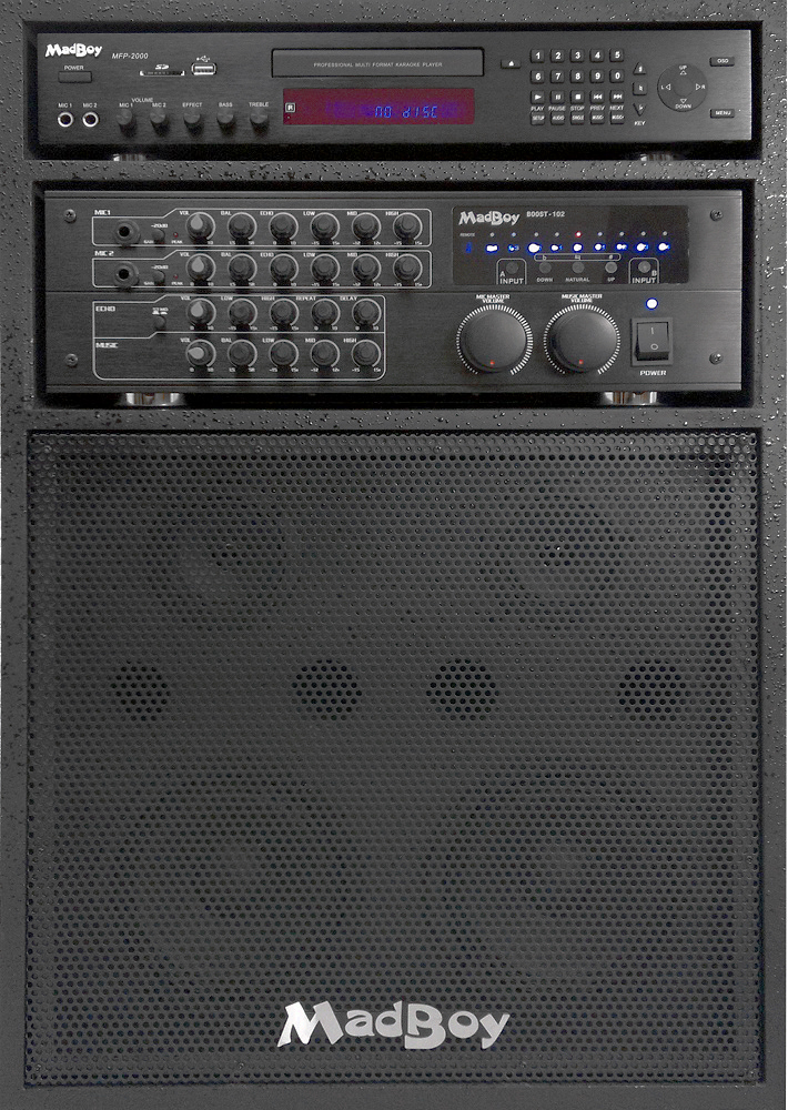 Караоке-центр «Все в одном» MADBOY MANIAC