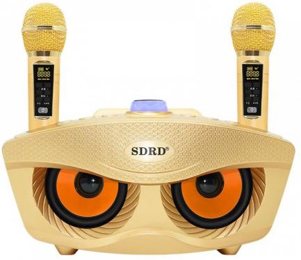 Караоке система с двумя радиомикрофонами SDRD SD 306 Plus Gold (Сова)