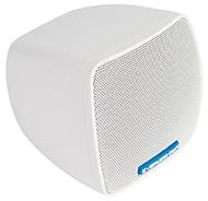 Громкоговоритель настенный CVGaudio ODF3TW