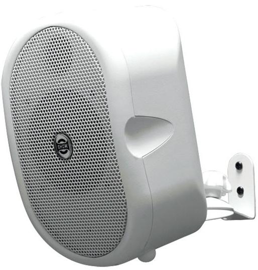 Громкоговоритель настенный Show CSB20T (WH)