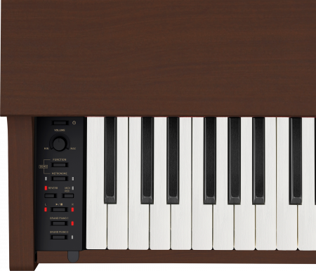 Цифровое пианино Casio Celviano AP-270BN