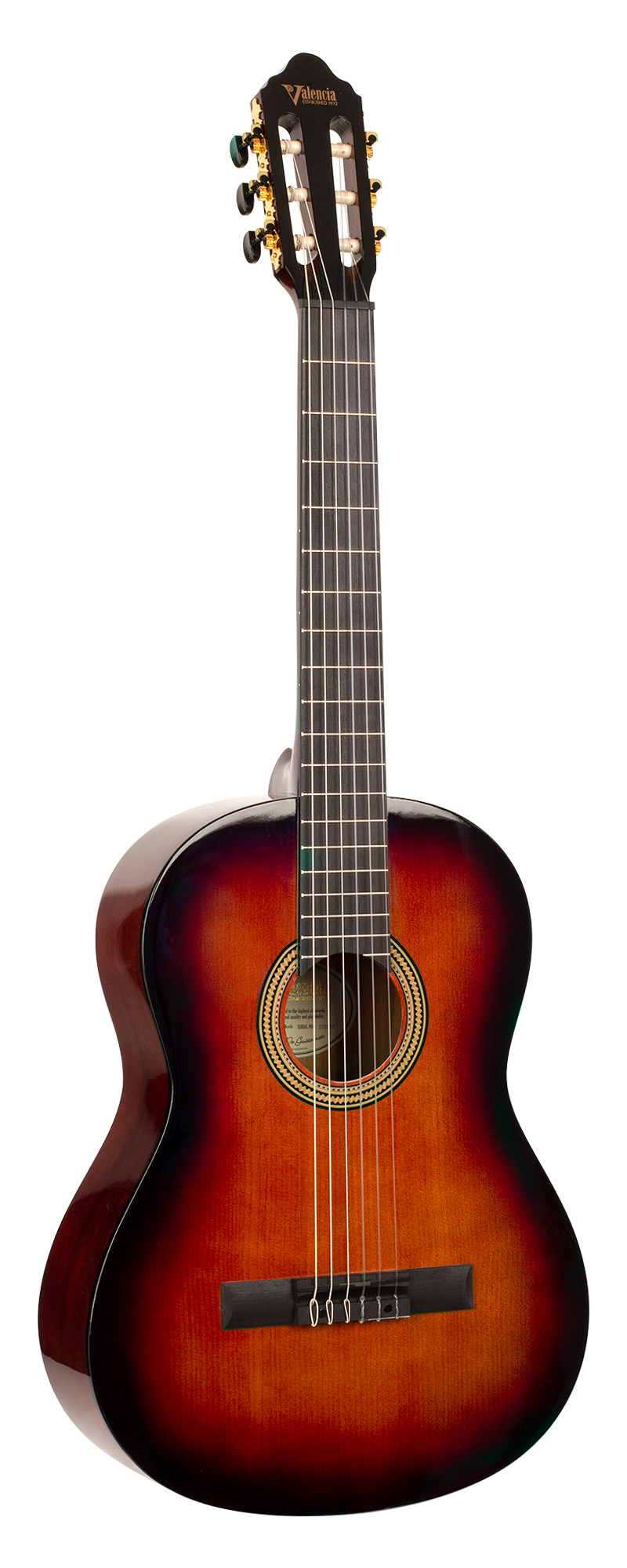 Гитара классическая Valencia VC264CSB