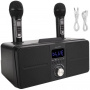 Караоке система с двумя радиомикрофонами SDRD SD 309