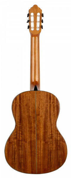 Гитара классическая Valencia VC564