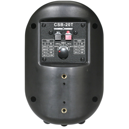 Громкоговоритель настенный Show CSB20T (BK)