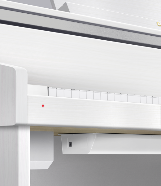 Цифровое пианино Casio Celviano GP-310WE