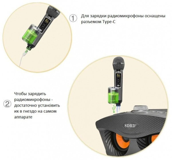Караоке система с двумя радиомикрофонами SDRD SD 306 Plus Gray (Сова)