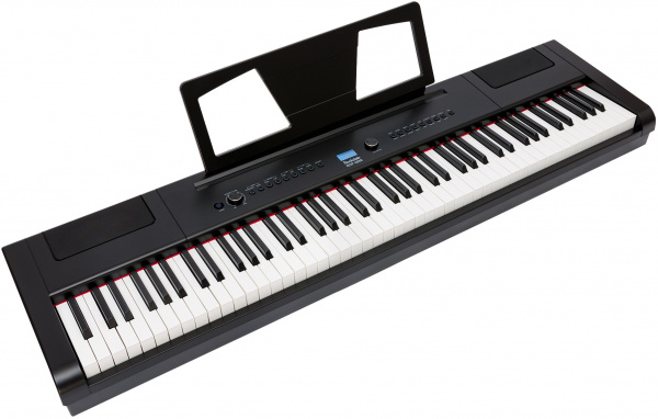 Цифровое пианино Rockdale RDP-4088 (Elegy) Black
