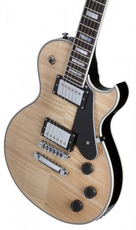 Электрогитара SCHECTER SOLO-II CUSTOM GNAT/BLK