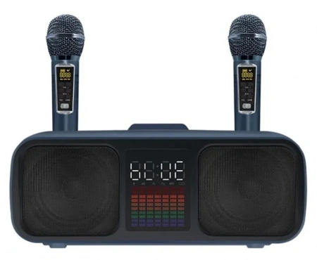 Караоке система с двумя радиомикрофонами SDRD SD 318 Gold