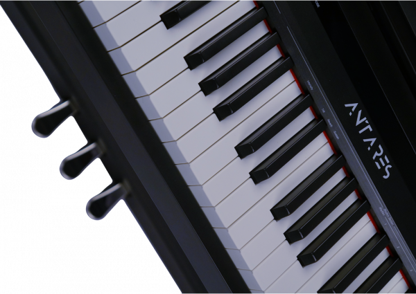 Цифровое пианино Antares D-300 Black
