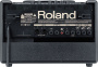 Комбоусилитель для акустических гитар Roland AC-60