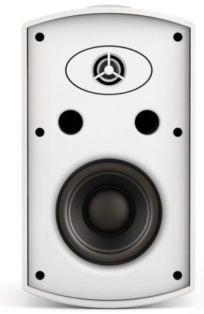 Громкоговоритель настенный CVGaudio RF416TW