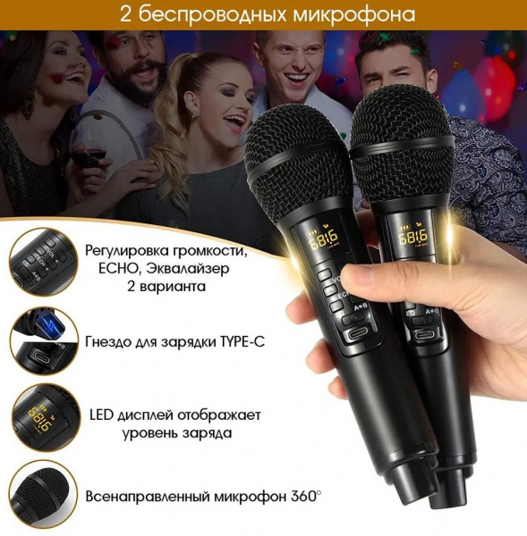 Караоке система с двумя радиомикрофонами  SDRD SD-319 Gold