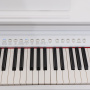 Цифровое пианино Rockdale Fantasia 128 Graded White