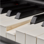 Цифровое пианино Yamaha P-515B Set