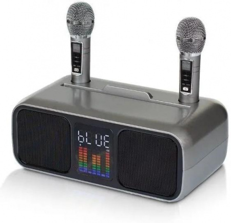 Караоке система с двумя радиомикрофонами SDRD SD 318 Grey