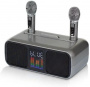 Караоке система с двумя радиомикрофонами SDRD SD 318 Grey
