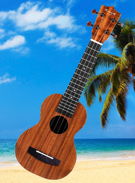 Укулеле Enya EUS-X1