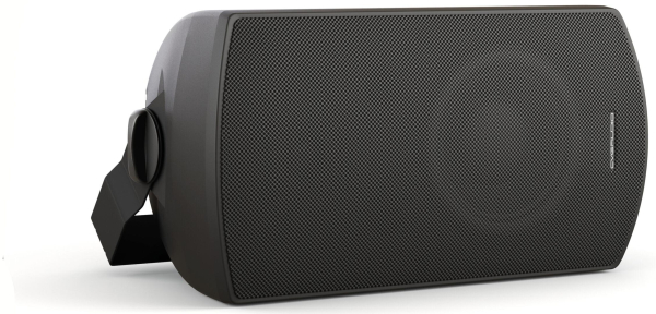 Громкоговоритель настенный CVGaudio RF616TBL