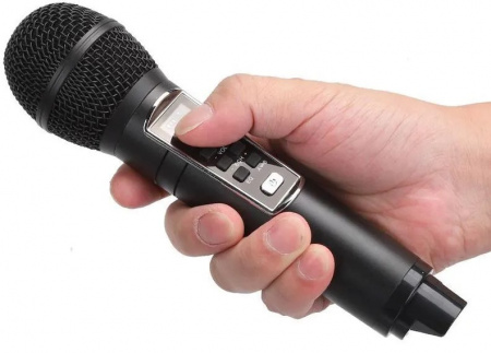 Караоке система с двумя радиомикрофонами SDRD SD 309