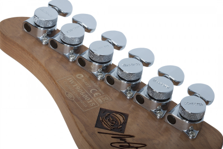 Электрогитара SCHECTER NICK JOHNSTON TRAD HSS A.FROST