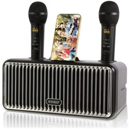 Караоке система с двумя радиомикрофонами  SDRD SD-319 Black