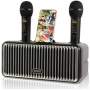 Караоке система с двумя радиомикрофонами  SDRD SD-319 Black