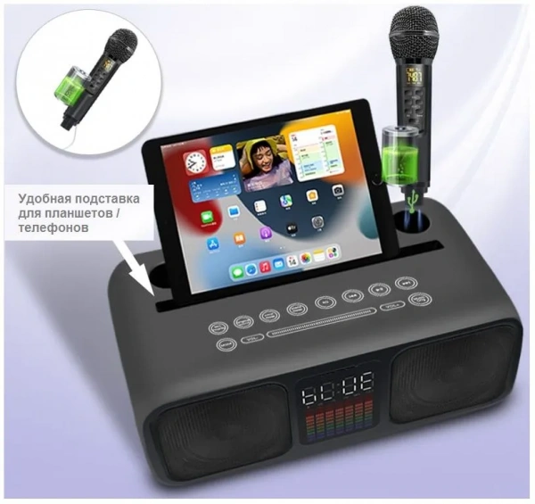 Караоке система с двумя радиомикрофонами SDRD SD 318 Grey