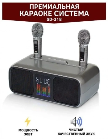 Караоке система с двумя радиомикрофонами SDRD SD 318 Grey