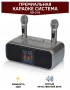 Караоке система с двумя радиомикрофонами SDRD SD 318 Grey