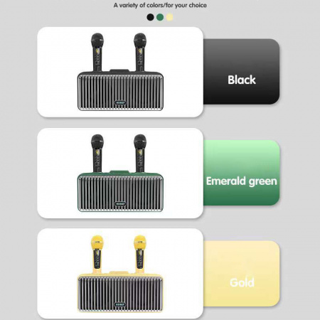 Караоке система с двумя радиомикрофонами  SDRD SD-319 Gold