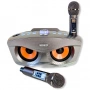 Караоке система с двумя радиомикрофонами SDRD SD 306 Plus Gold (Сова)