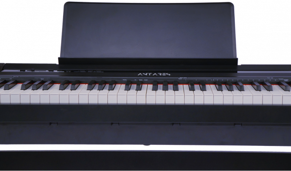 Цифровое пианино Antares D-300 Black