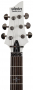 Электрогитара SCHECTER DEMON-6 FR VWHT
