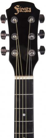 Гитара акустическая ARIA FIESTA FST-300 BK