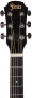 Гитара акустическая ARIA FIESTA FST-300 BK