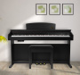Цифровое пианино Artesia DP-10E Rosewood