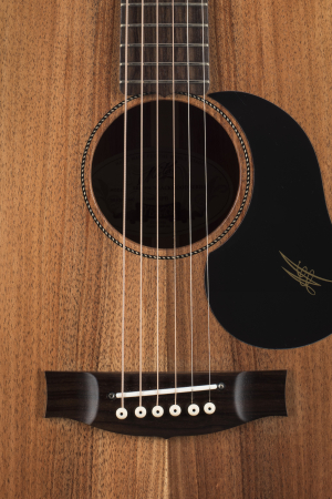 Гитара электроакустическая Maton EBW808