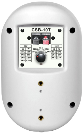 Громкоговоритель настенный Show CSB10T (WH)