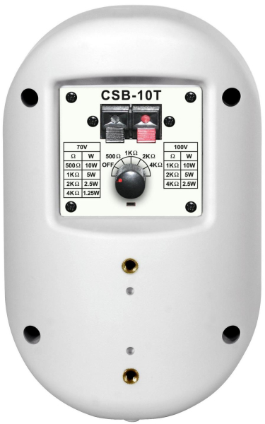 Громкоговоритель настенный Show CSB10T (WH)