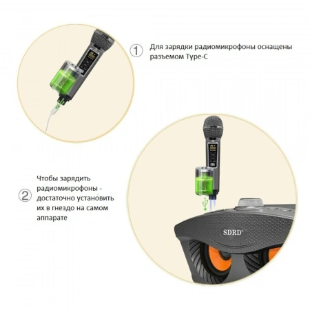 Караоке система с двумя радиомикрофонами SDRD SD 306 Plus Gold (Сова)