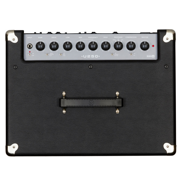 Басовый комбоусилитель Blackstar Unity 250 Bass