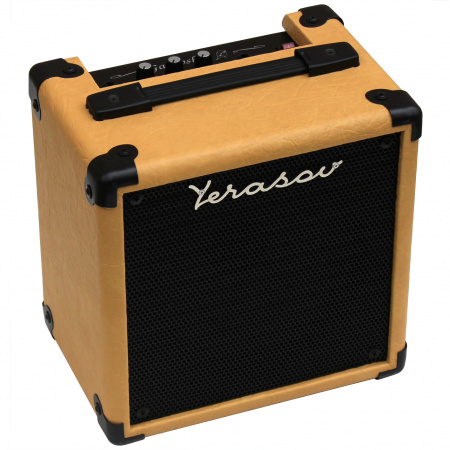 Комбоусилитель для электрогитары Yerasov GAVROSH 8