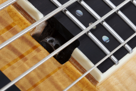 Бас-гитара Schecter SLS Elite-4 ATQFB