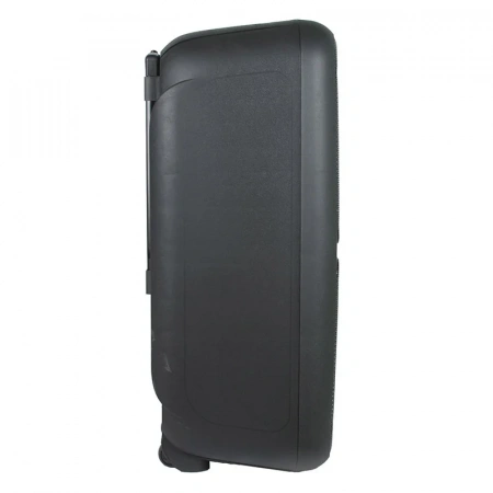 Портативная Акустическая система ELTRONIC EL20-05