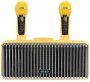 Караоке система с двумя радиомикрофонами  SDRD SD-319 Gold