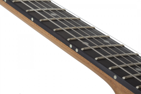 Электрогитара SCHECTER PT PRO TPB