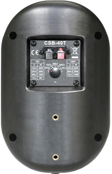 Громкоговоритель настенный Show CSB40T (BK)